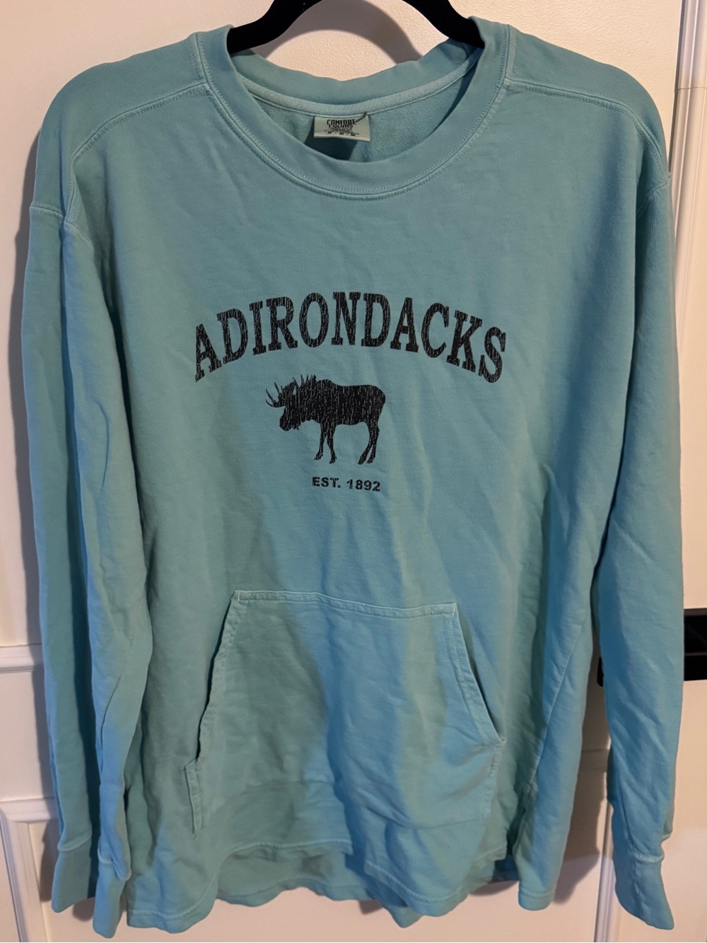 Aqua Crewneck Sweatshirt with Adirondacks Graphic
